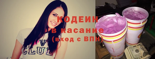 ГАЛЛЮЦИНОГЕННЫЕ ГРИБЫ Вяземский