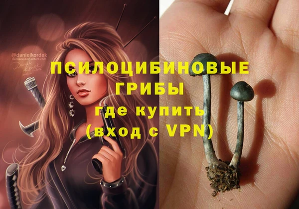2c-b Вязьма