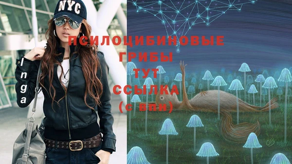 ГАЛЛЮЦИНОГЕННЫЕ ГРИБЫ Вяземский