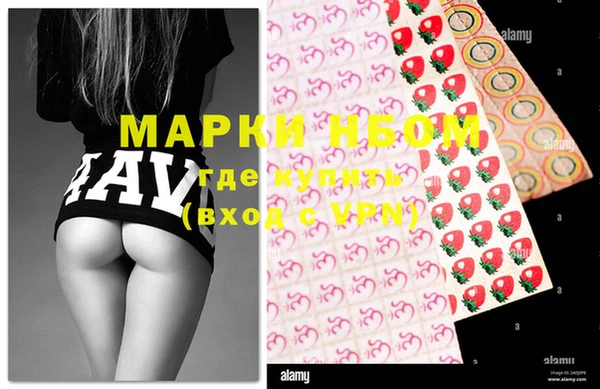 ГАЛЛЮЦИНОГЕННЫЕ ГРИБЫ Вяземский