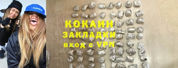 ГАЛЛЮЦИНОГЕННЫЕ ГРИБЫ Вяземский
