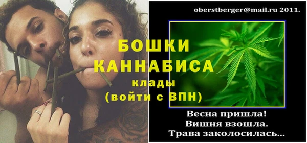 ГАЛЛЮЦИНОГЕННЫЕ ГРИБЫ Вяземский